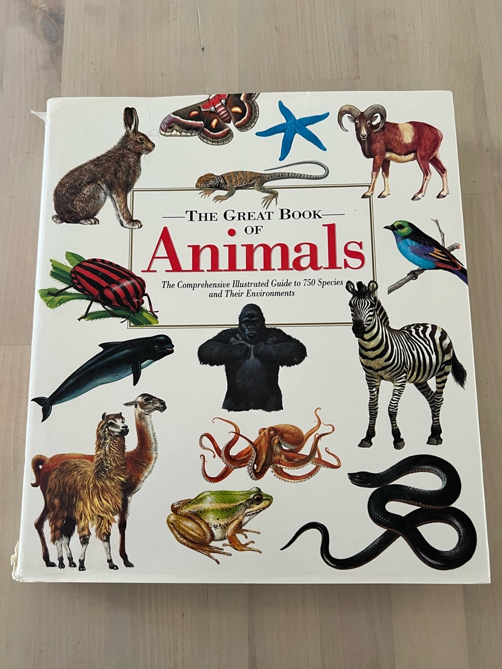 The Great Book of Animals - Hardcover Reference Book